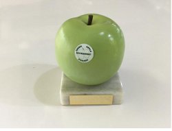 Green Apple Environment Awards